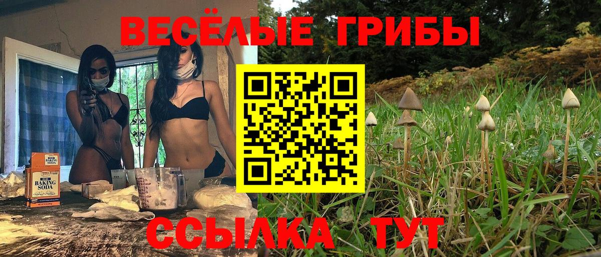 Галлюциногенные грибы прущие грибы Подольск