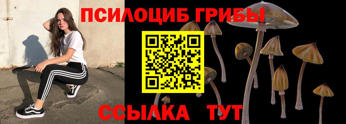 наркотики  Вход с VPN  Подольск  Галлюциногенные грибы мицелий  Псилоцибиновые грибы MAGIC MUSHROOMS 