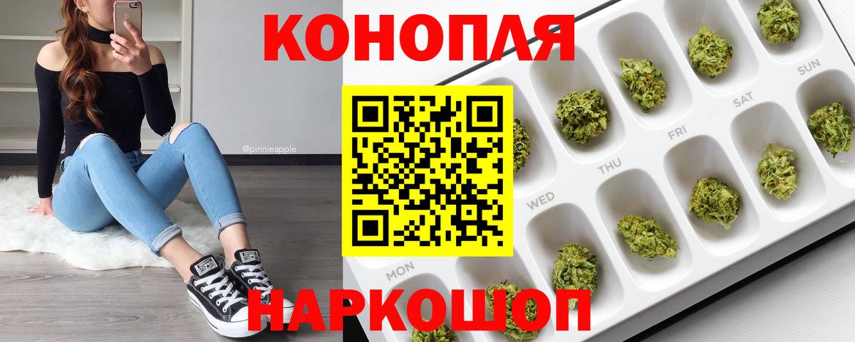Бошки Шишки план Подольск